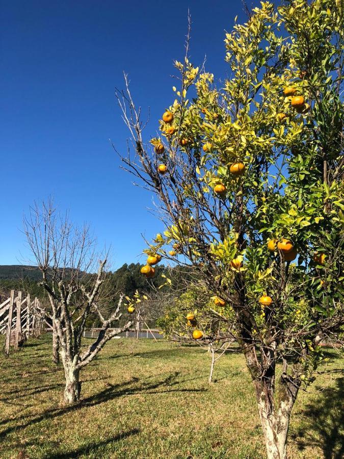 Bangalos Refugio Do Vale Santa Maria do Erval Εξωτερικό φωτογραφία