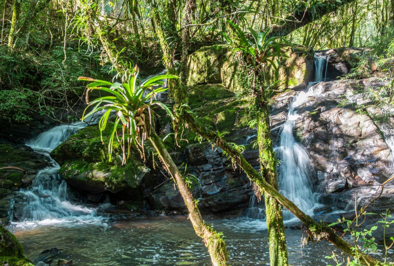 Bangalos Refugio Do Vale Santa Maria do Erval Εξωτερικό φωτογραφία