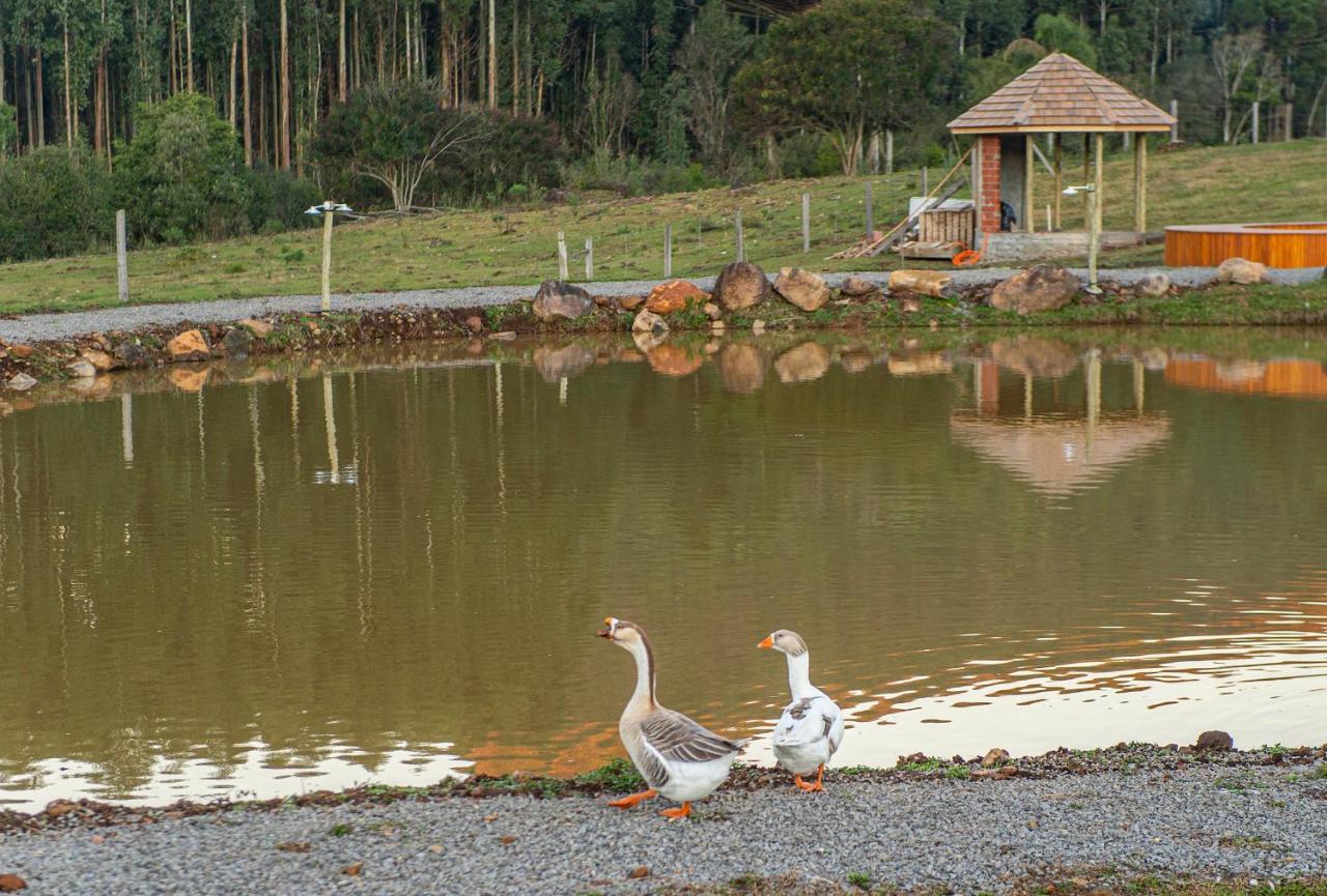 Bangalos Refugio Do Vale Santa Maria do Erval Εξωτερικό φωτογραφία